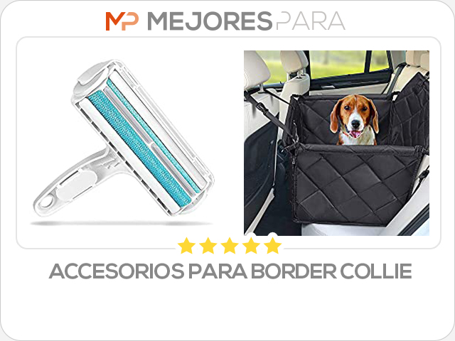 accesorios para border collie