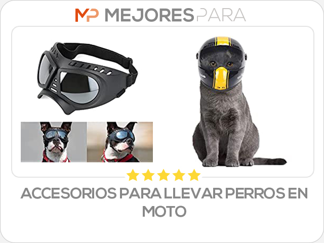 accesorios para llevar perros en moto