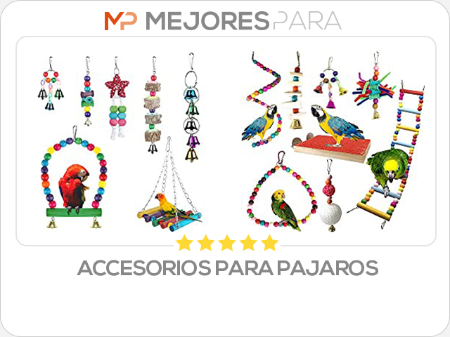 accesorios para pajaros