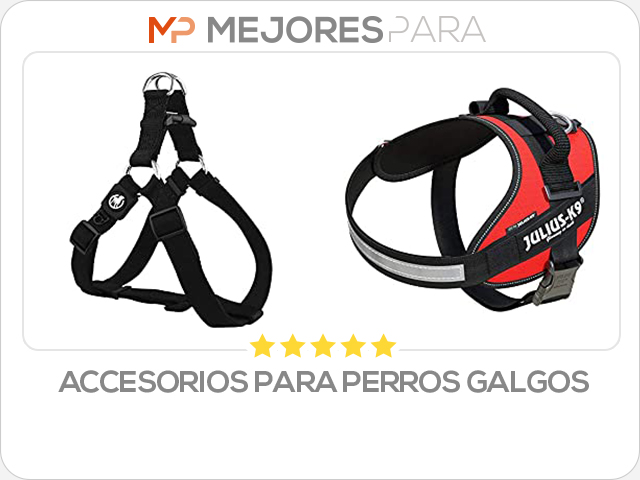 accesorios para perros galgos