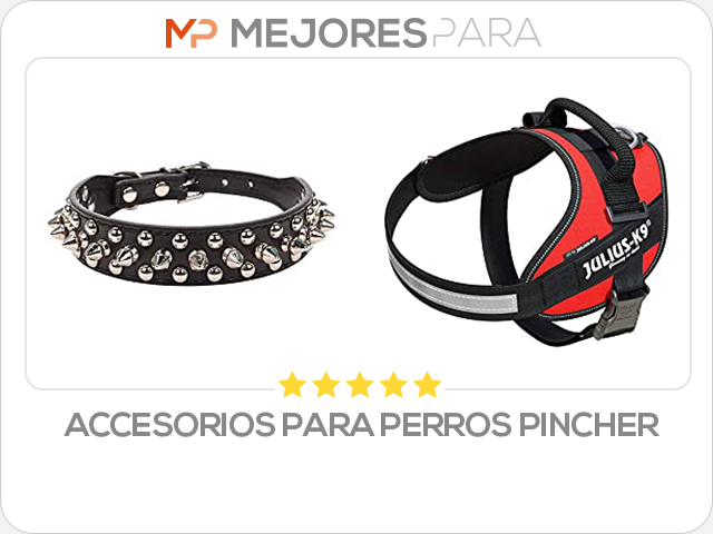 accesorios para perros pincher