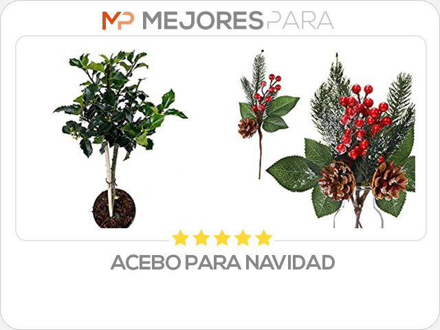 acebo para navidad