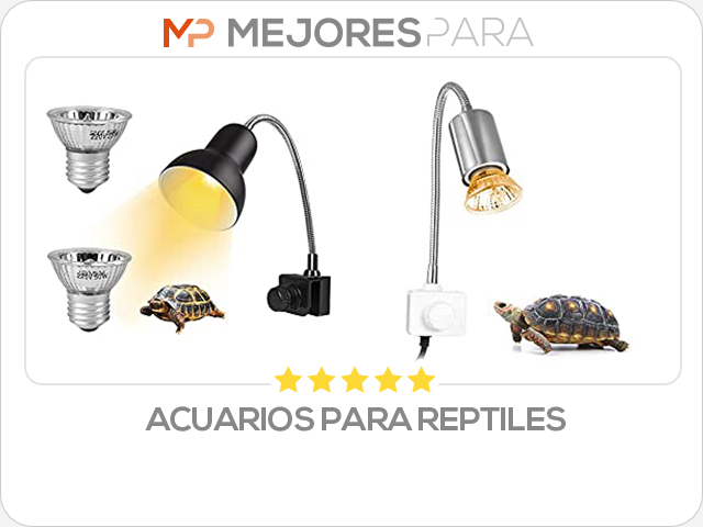 acuarios para reptiles