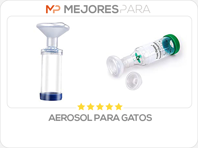 aerosol para gatos