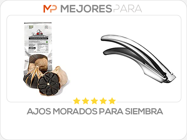 ajos morados para siembra