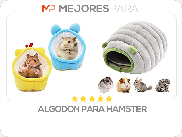 algodon para hamster