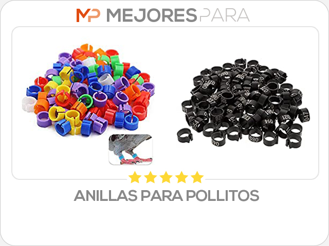 anillas para pollitos