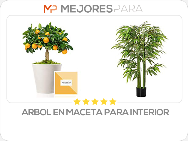 arbol en maceta para interior