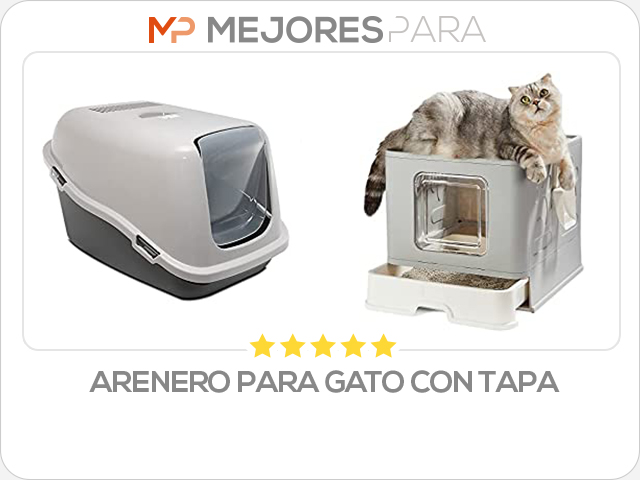 arenero para gato con tapa