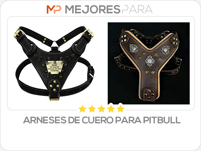 arneses de cuero para pitbull