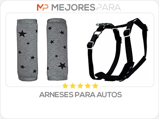 arneses para autos