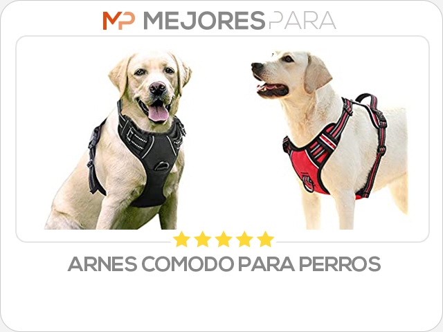 arnes comodo para perros