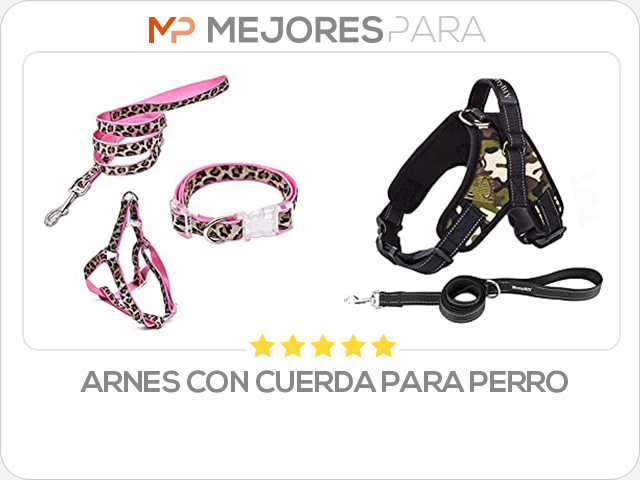 arnes con cuerda para perro