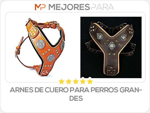 arnes de cuero para perros grandes