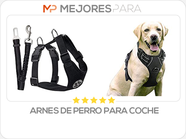 arnes de perro para coche