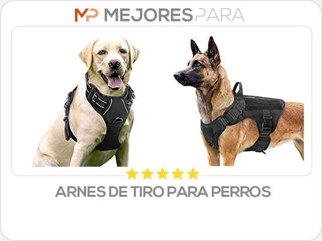 arnes de tiro para perros