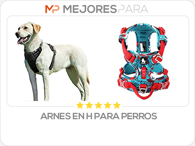 arnes en h para perros