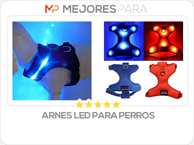 arnes led para perros