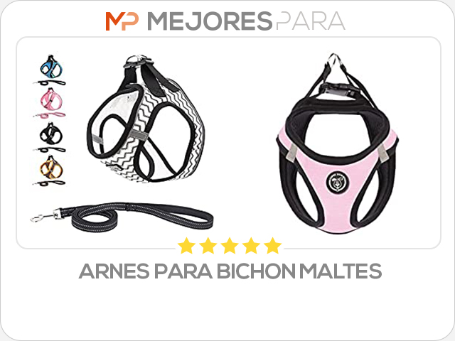 arnes para bichon maltes