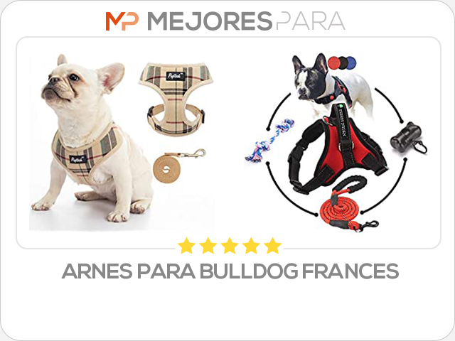 arnes para bulldog frances