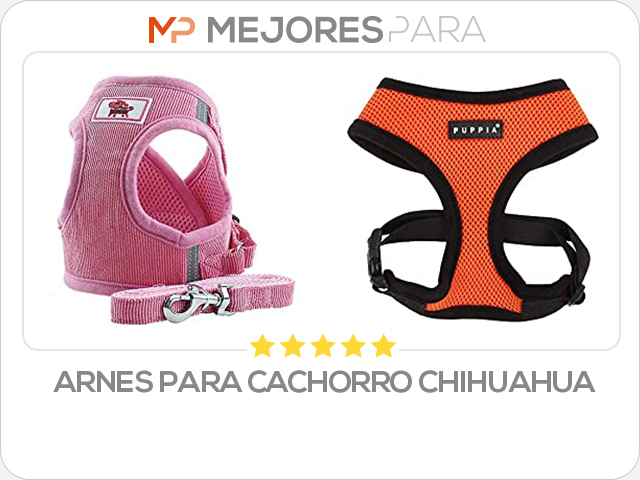 arnes para cachorro chihuahua