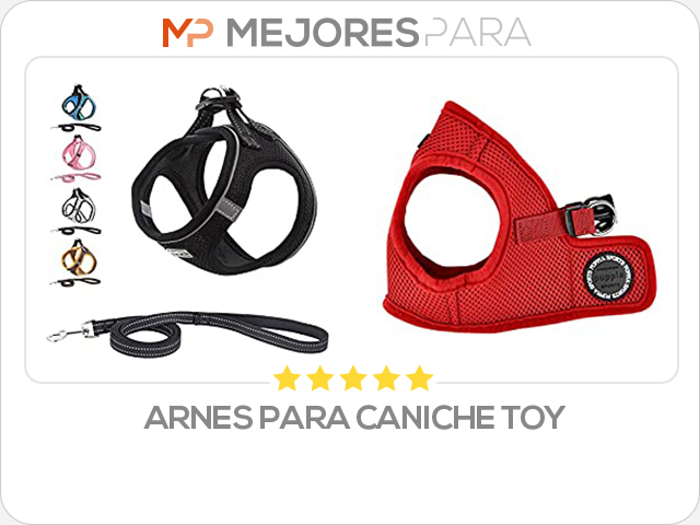 arnes para caniche toy