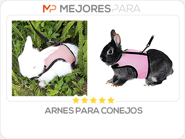 arnes para conejos