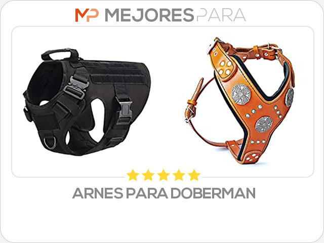 arnes para doberman