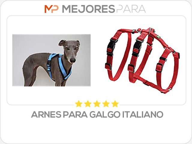 arnes para galgo italiano