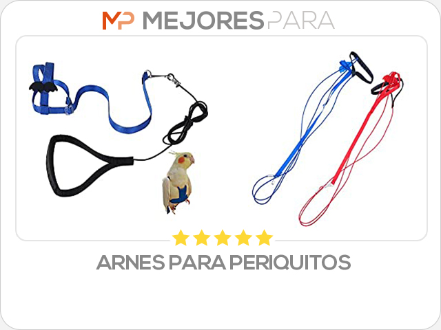 arnes para periquitos