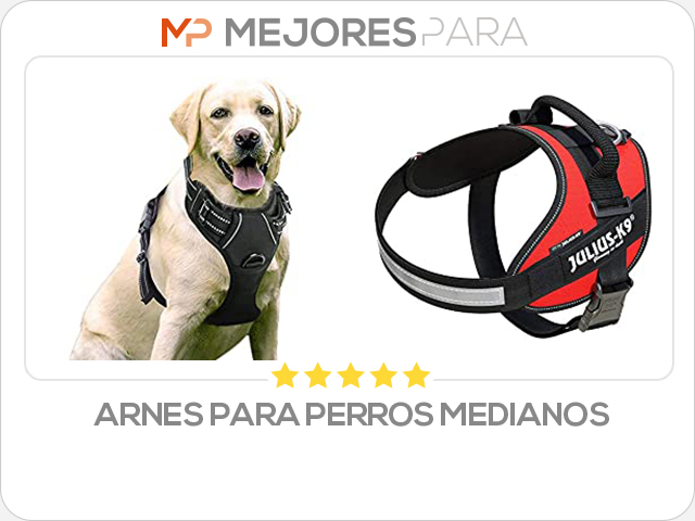 arnes para perros medianos