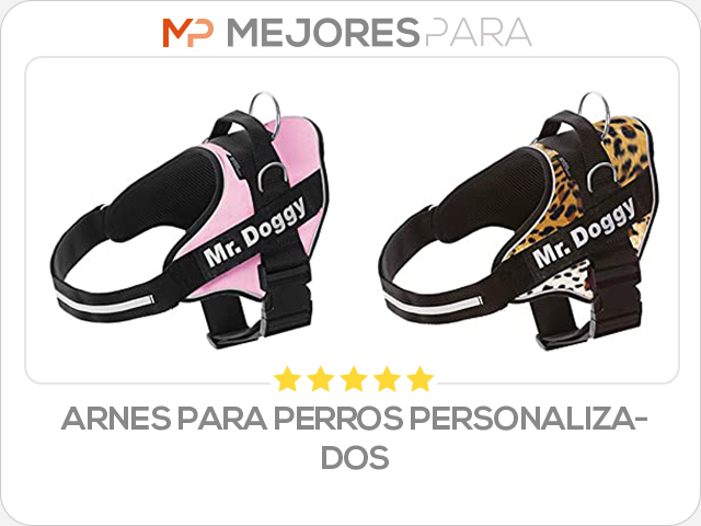 arnes para perros personalizados