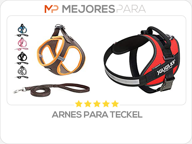 arnes para teckel