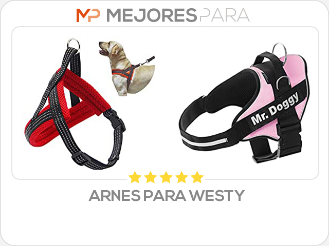 arnes para westy