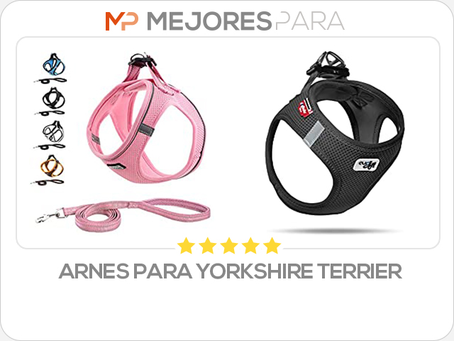 arnes para yorkshire terrier