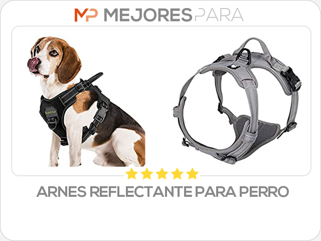 arnes reflectante para perro