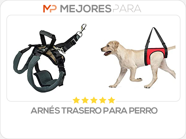 arnés trasero para perro