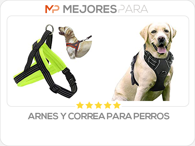 arnes y correa para perros