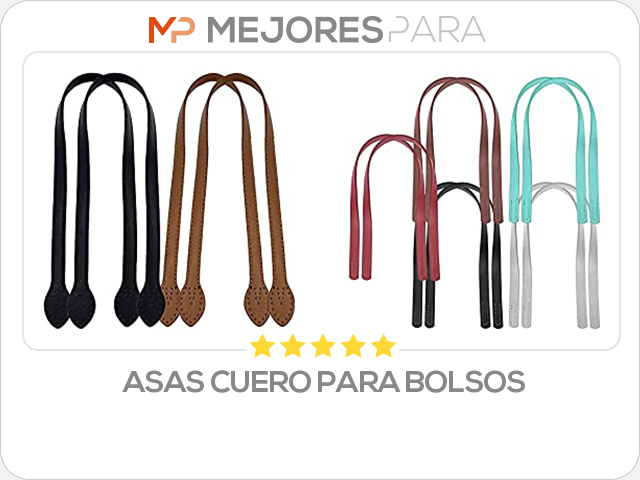 asas cuero para bolsos