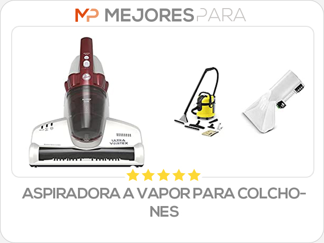 aspiradora a vapor para colchones