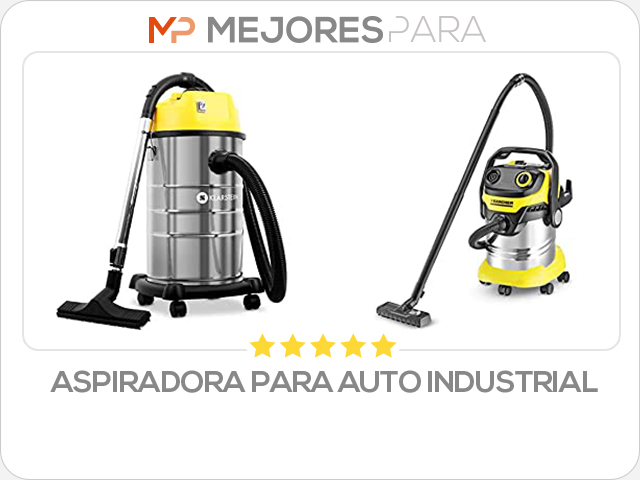 aspiradora para auto industrial