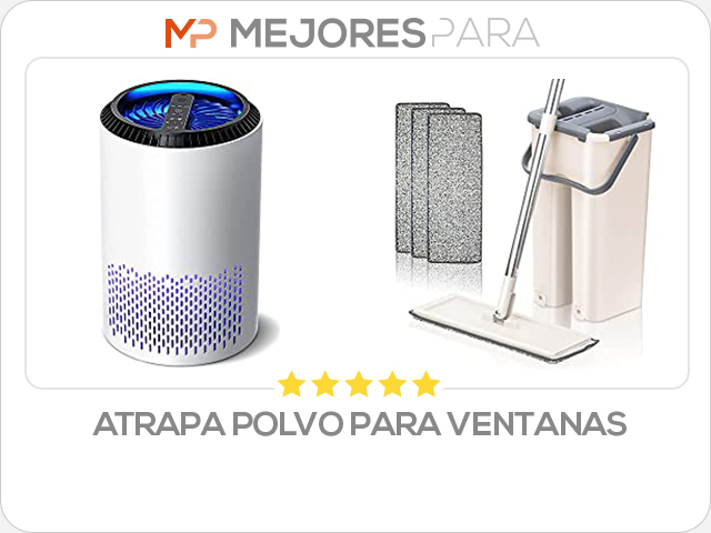 atrapa polvo para ventanas