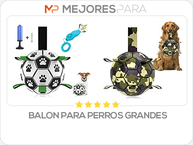 balon para perros grandes