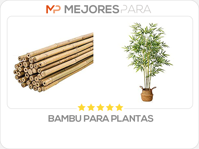 bambu para plantas