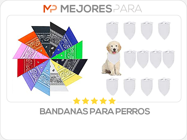 bandanas para perros