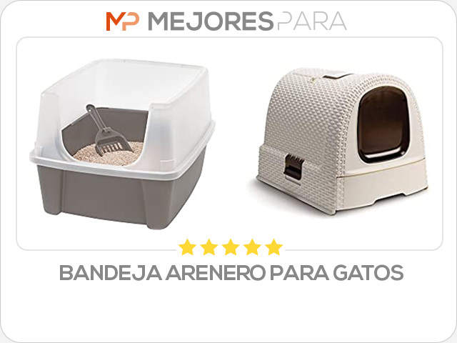 bandeja arenero para gatos