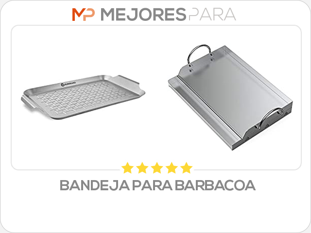 bandeja para barbacoa