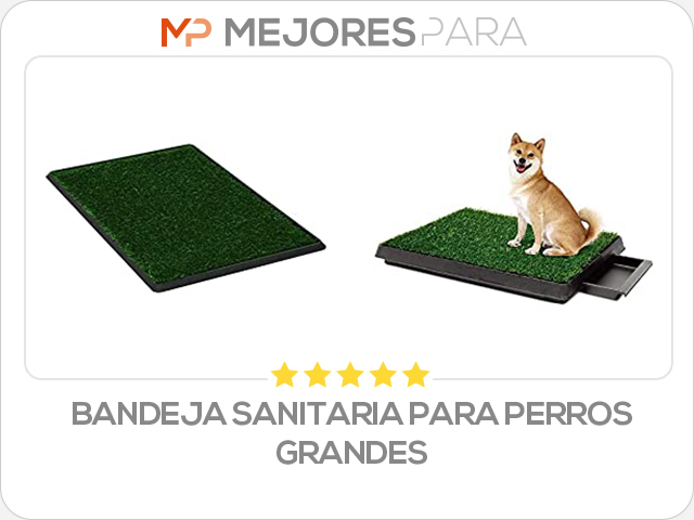 bandeja sanitaria para perros grandes