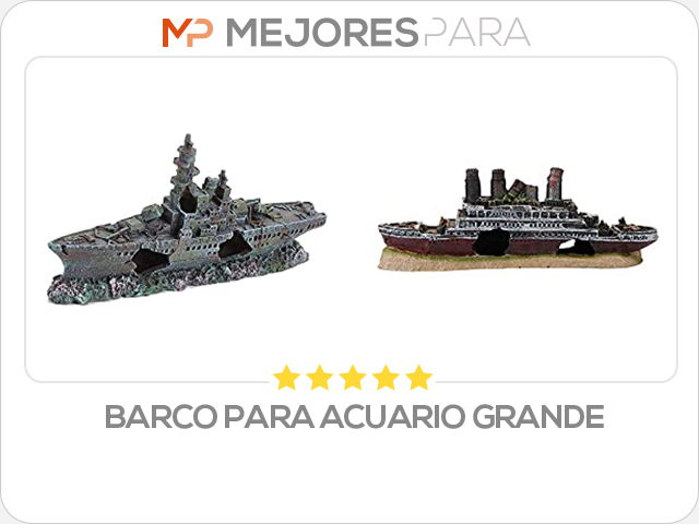 barco para acuario grande