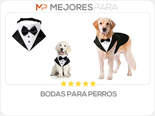 bodas para perros